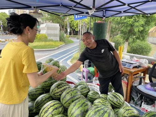 甜瓜新乐场 