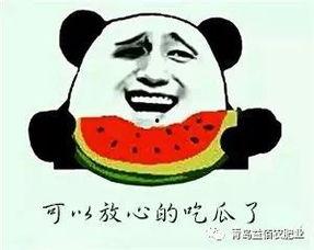说的是什么字 