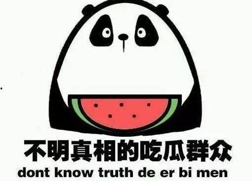 掌上大理 